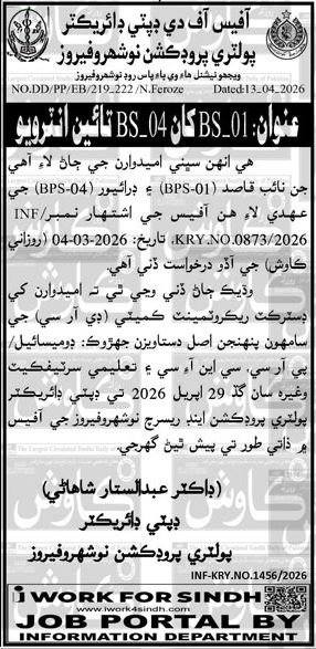Deputy Director Poultry Production Naushahro Feroze Jobs
