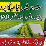 How to Apply for Hydro-Agro Informatics (HAI) and When the Program Will Start