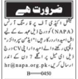 National Academy Of Performing Arts NAPA Sindh Jobs 2026