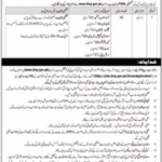Driver Jobs At Benazir Income Support Programme BISP 2026
