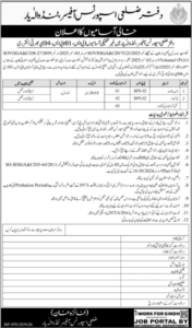 District Sports Officer Sindh Government Jobs 2026