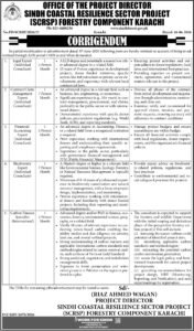 Government of Sindh Forest Department Jobs 2026