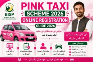 Pink Taxi Scheme 2026 Online Registration Guide 2026
