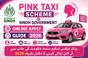 Pink Taxi Scheme By Sindh Government Online Apply Guide 2026