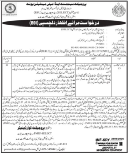 School Education Literacy Department Opportunities in Sindh 2026