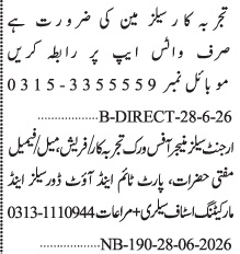 Jang Classified Jobs Best Marketing Sales Roles in Karachi