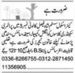 Care School System Sindhi Teacher Jobs 2026