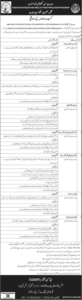 Health Department Government of Sindh Jobs Career 2026