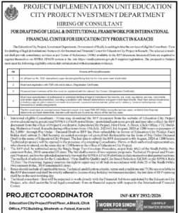 Project Implementation Unit PIU Consultant Jobs 2026