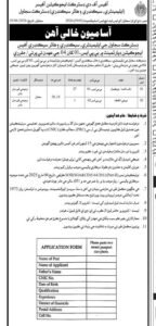Sindh District Education Department Sujawal Jobs 2026