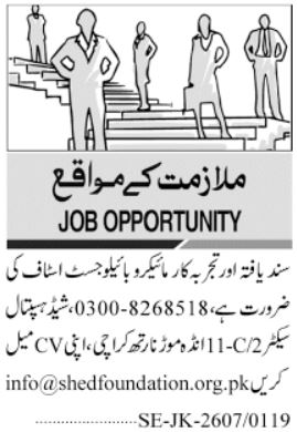 SHED Foundation Karachi Jobs Apply for Best Medical Roles